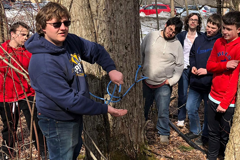 Students gathered around a tree to see sap being extracted from it